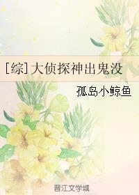 综大侦探神出鬼没TXT