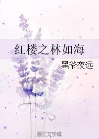 红楼之林如海休妻