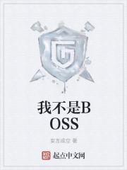 我不是boss无无