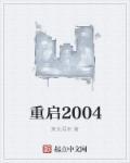 重启2004电视剧