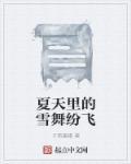 夏天的雪什么意思