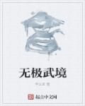 无极之境光环