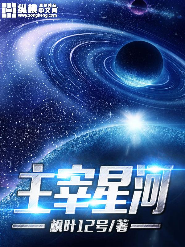 主宰星河txt精校版