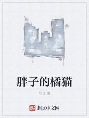 橘胖子是什么猫