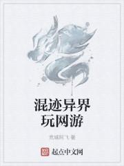 混迹异界玩网游怎么样