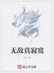 无敌真寂寞免费全文阅读全文