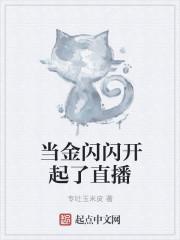 金闪闪是什么职阶