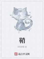 鞘翅能附魔什么