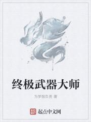 终极武器大师游戏