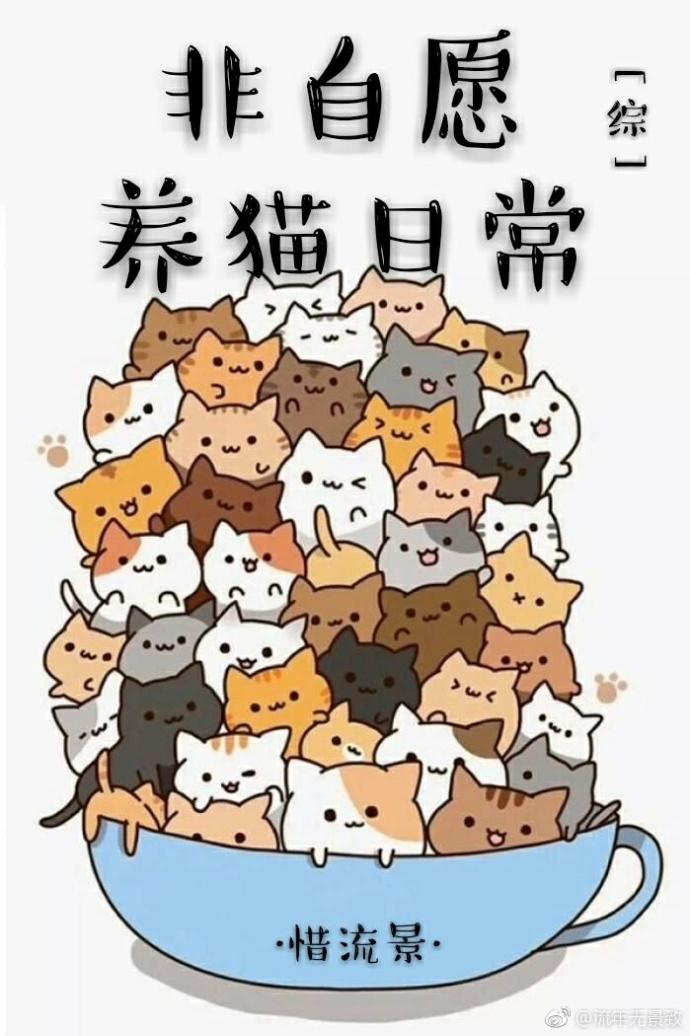 综非自愿养猫日常