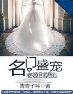 名门婚嫁老婆休想逃