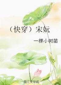 快穿宋妧无防盗章节