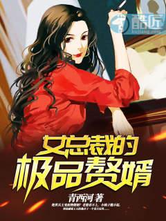 女总裁的神级赘婿完整版