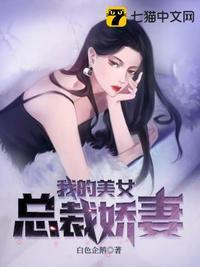 我的美女总裁娇妻的境界介绍