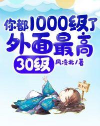 你都1000级了外面最高30级漫画叫什么