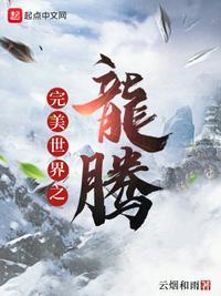 完美世界龙令