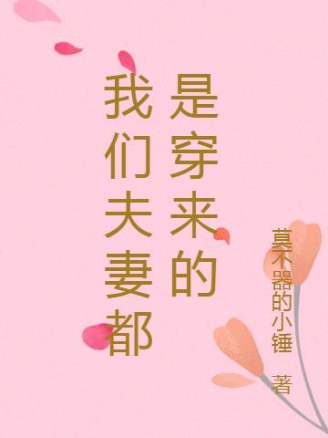 我们是夫妻幸福的小夫妻什么歌