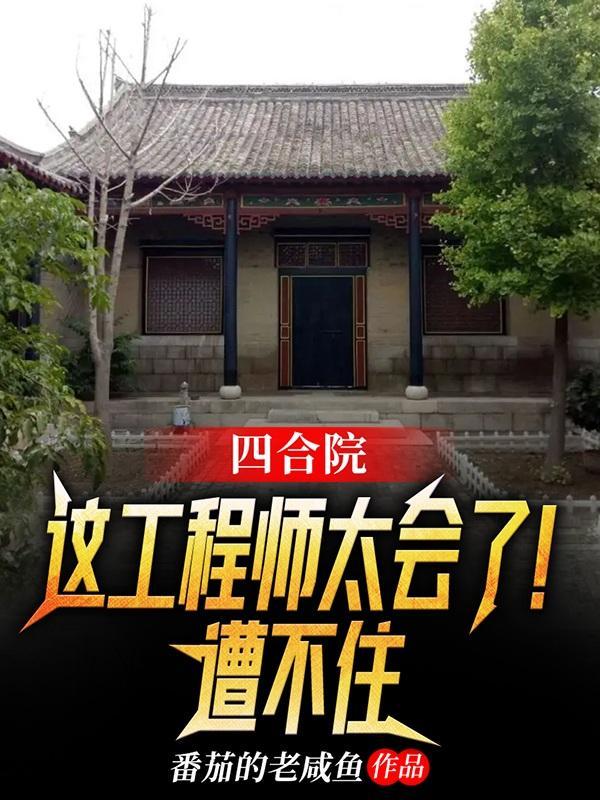 四合院这工程师太会了遭不住