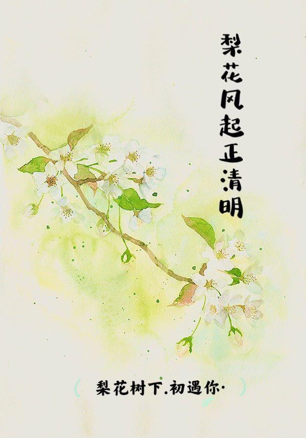 梨花风起正清明 游子寻春半出城是什么节日