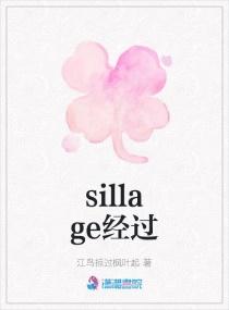 sillage他来到你身边