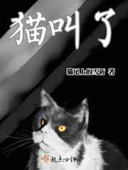 猫叫了不过来