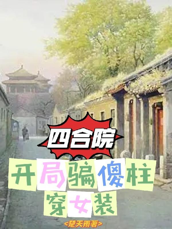 四合院我傻柱开局