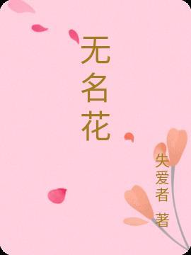 无名花歌词雷佳