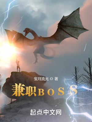 兼职BOSS 宝月流光