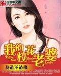 我的校花老婆莫道消