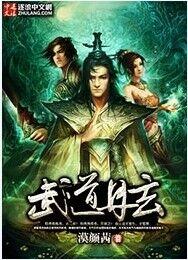 天龙武道玄元丹