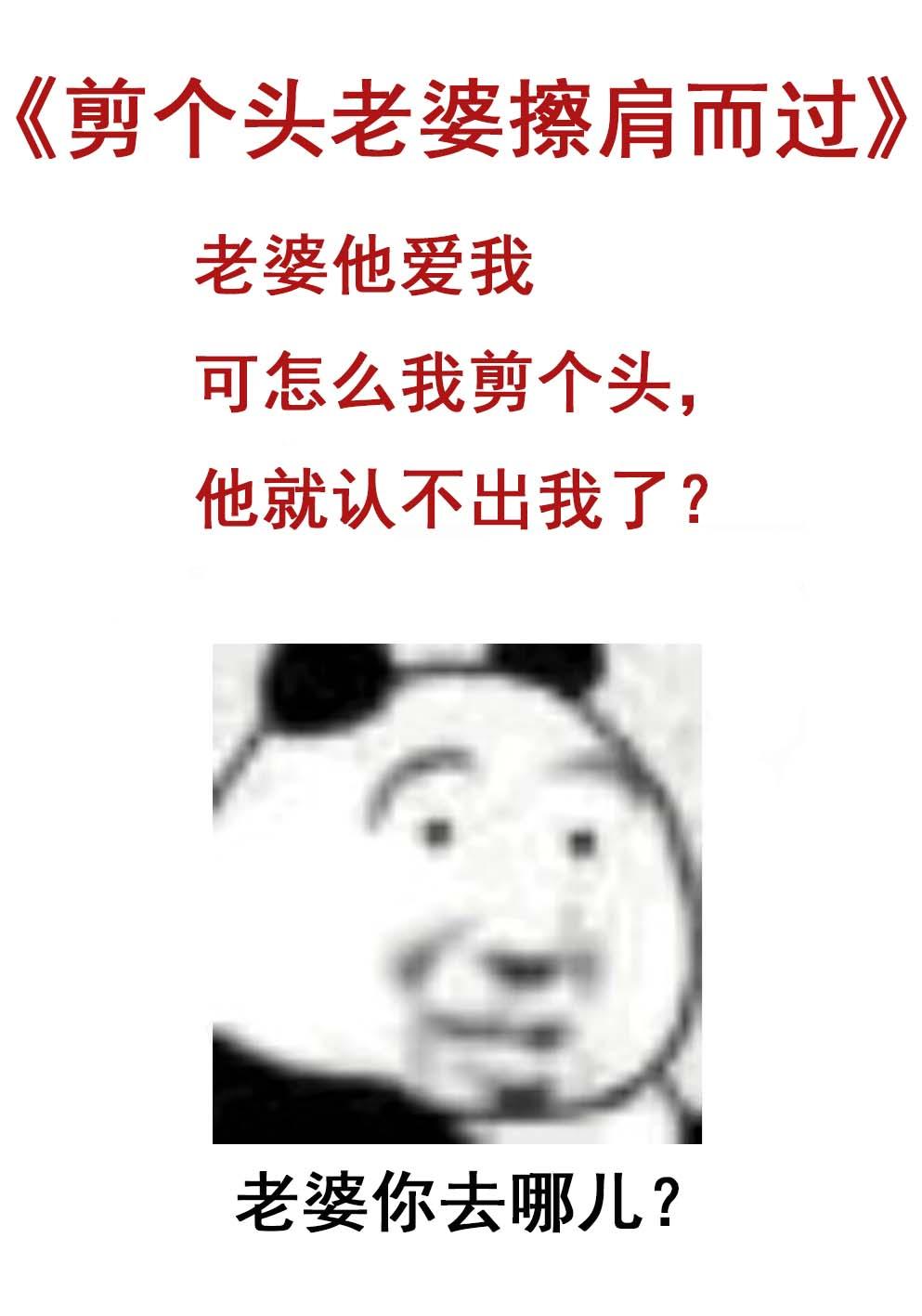 剪个头老婆擦肩而过(近代现代)