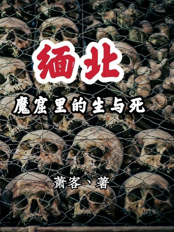 缅北魔窟里的生与死判官欧文结局是什么