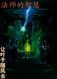 魔兽世界法师大智慧在哪学