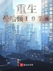 重生曼哈顿1978无广告