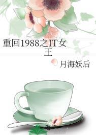 重回1988之it女王免费阅读