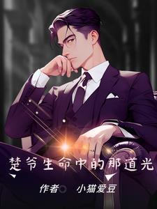 豪门国乒之莎头epub