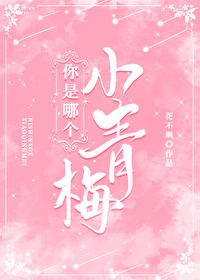 你是哪个小青梅 花不飒免费