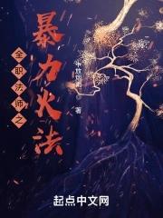 全职法师之烈焰