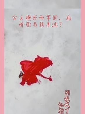 公主病还得将军治