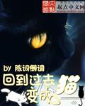 回到过去变成猫 陈词懒调