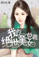 我的绝世美女总裁流