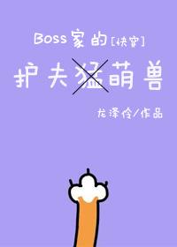 boss的护夫萌兽快穿txt