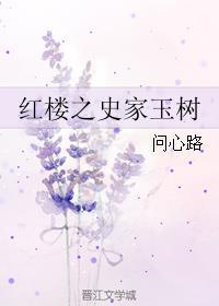 红楼之史家嫡次子