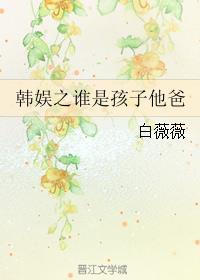 韩娱之孩子他爸请多指教